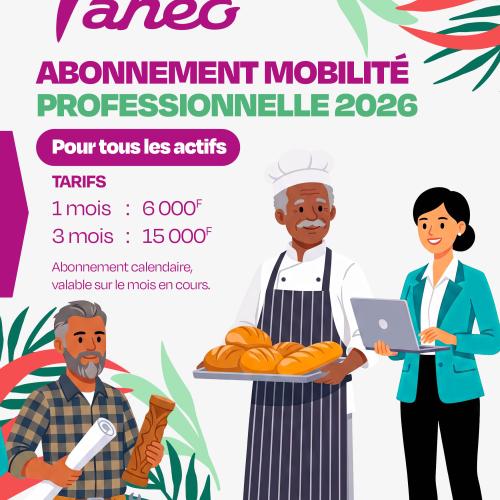 actifs professionnels